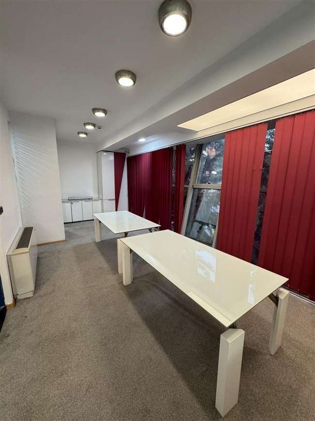 Репрезентативен деловен простор во Центар - slika 2