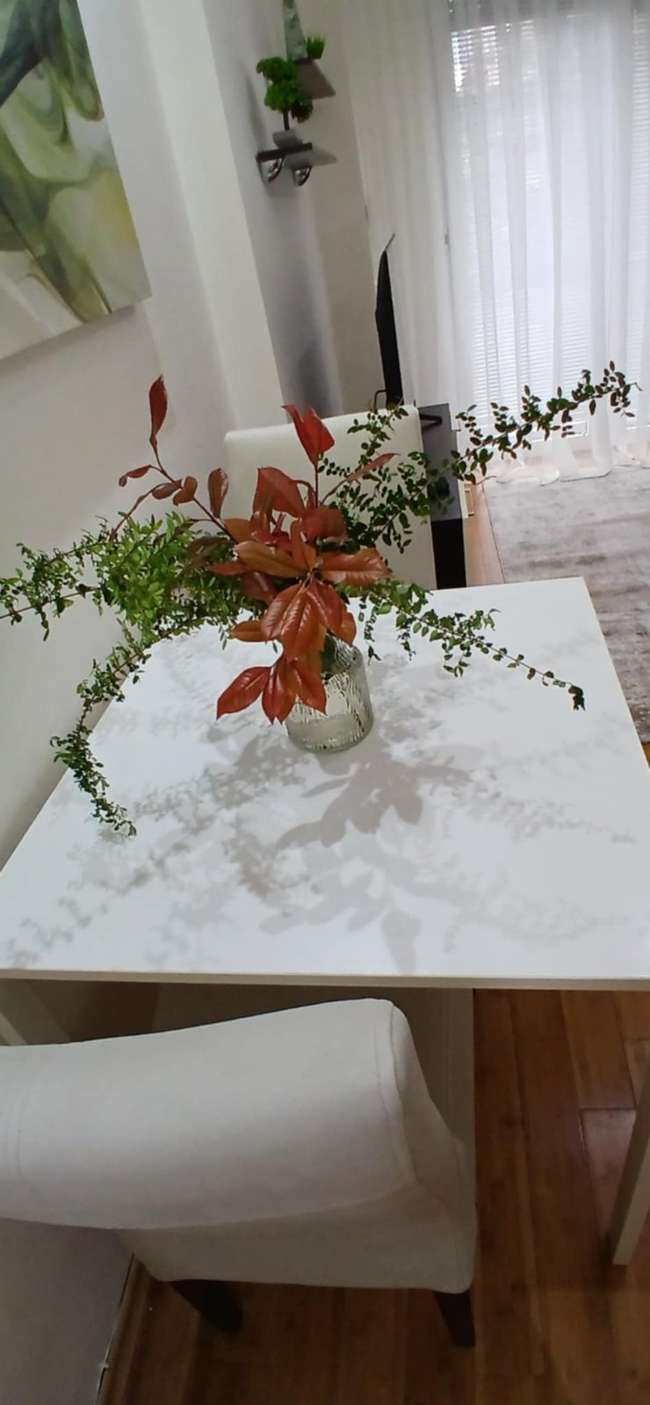 Се изнајмува 2-собен стан во Центар, Водно - 3