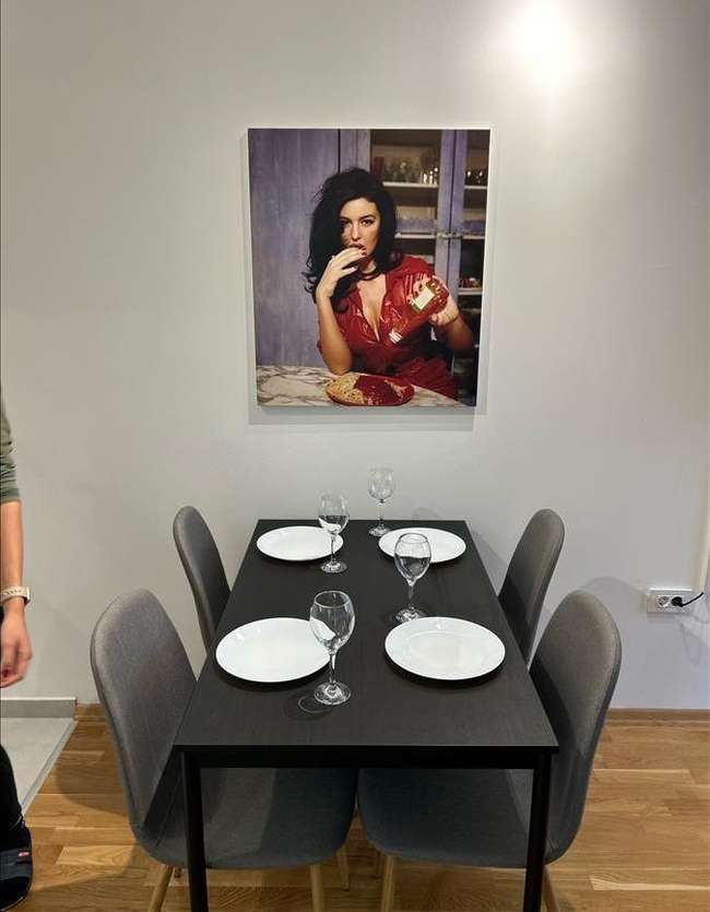 Се издава нов убаво наместен 2-собен стан во Мичурин, кај Блаже Конески - 3