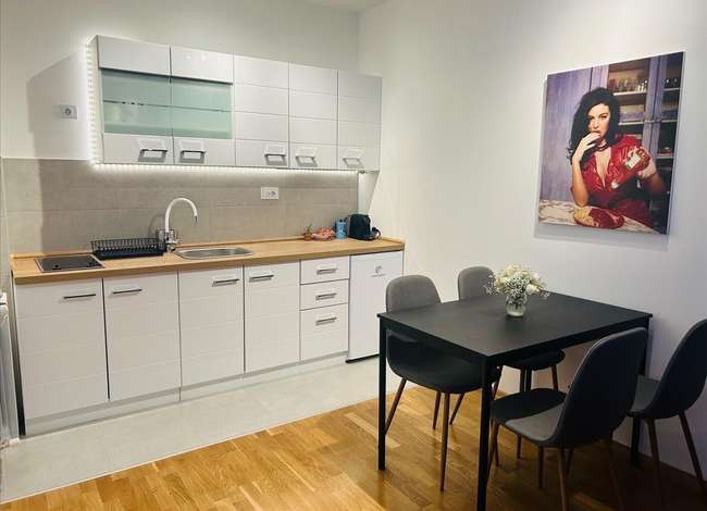 Се издава нов убаво наместен 2-собен стан во Мичурин, кај Блаже Конески - slika 2